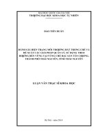 Đánh giá hiện trạng môi trường đất trồng chè và đề xuất các giải pháp quản lý, sử dụng theo hướng bền vững tại vùng chè đặc sản tân cương, thành phố thái nguyên, tỉnh thái nguyên 