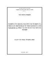 Nghiên cứu kháng nguyên tái tổ hợp của virus gây bệnh hoại tử thần kinh ở cá mú epinephelus SP  phục vụ sản xuất vắc xin tái tổ hợp   07 