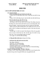 Báo cáo kết quả hoạt động Kinh doanh cho công ty