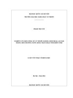 Nghiên cứu khả năng xử lý thuốc kháng sinh họ b  laptam trong môi trường nước bằng than hoạt tính biến tính   