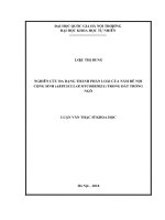 Nghiên cứu đa dạng thành phần loài nấm rễ nội cộng sinh (arbuscular mycorrhiza) trong đất trồng ngô 