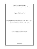 Nghiên cứu định danh loài sán lá gan lớn fasciola spp  sử dụng các chỉ thị phân tử  ITS 2 và nad1   