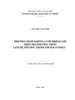 Phương pháp không lưới rbiem với miền địa phương tròn giải hệ phương trình navier stokes  001 