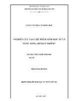Nghiên cứu tạo chế phẩm sinh học xử lý nước sông, hồ bị ô nhiễm