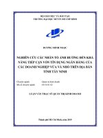 nghiên cứu các nhân tố ảnh hưởng đến khả năng tiếp cận vốn tín dụng ngân hàng của các doanh nghiệp vừa và nhỏ trên địa bàn tỉnh tây ninh 