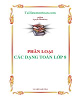 Phan loai cac dang toan 8