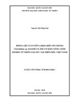 Phân lập và tuyển chọn một số chủng clostridium sp  kị khí ưa ấm có khả năng sinh hydro từ phân gia súc tại miền bắc việt nam 