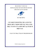 các khuynh hướng mua sắm tác động đến ý định tiếp tục mua sắm trực tuyến của giới trẻ tại tp hcm hiện nay 