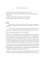 Tieu luan QT hoc Leadership and culture