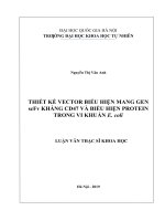 Thiết kế vector biểu hiện mang gen scfv kháng CD47 và biểu hiện protein trong vi khuẩn e coli 