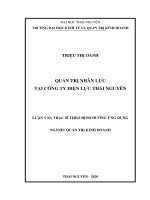 (Luận văn thạc sĩ) Quản trị nhân lực tại Công ty Điện lực Thái Nguyên