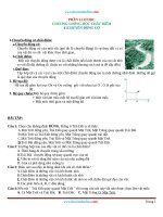 giao an day them li 10 2020