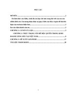 Tiểu luận vấn đề độc quyền trong kinh doanh xăng dầu tại việt nam