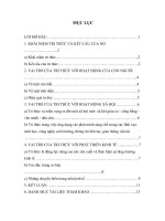 Tiểu luận vai trò của tri thức trong đời sống xã hội và sự phát triển kinh tế 