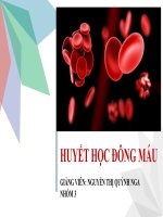 HUYẾT HỌC ĐÔNG MÁU  GIẢNG VIÊN NGUYỄN THỊ QUỲNH NGA  NHÓM 3