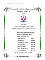 chế định đồng phạm trong luật hình sự việt nam