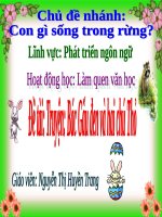 slide bài giảng bác gấu đen và hai chú thỏ 