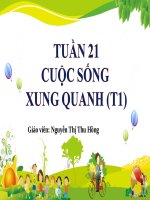 slide giáo án môn khoa học lớp 2 bài giảng cuộc sống xung quanh ta 