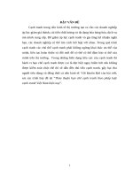 tiểu luận PL cạnh tranh và bảo vệ quyền lợi người tiêu dùng