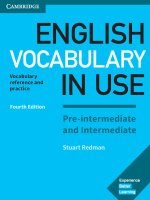 English vocabulary in use pre intermediate amp intermediate 2017 