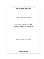 Tội vô ý làm chết người từ thực tiễn tỉnh Bình Định