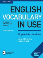 English vocabulary in use upper intermediate 2017 