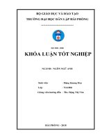 A study on specialized terminologies translation for information technology 