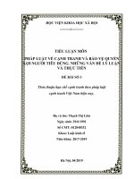 tiểu luận PL cạnh tranh và bảo vệ quyền lợi người tiêu dùng