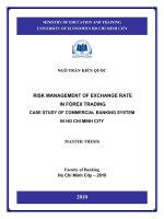Risk management of exchange rate in forex trading case study of commercial banking system in ho chi minh city , luận văn thạc sĩ 