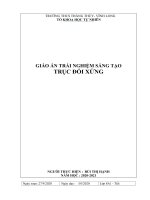 Hoat dong trai nghiem sang tao TRUC DOI XUNG  TOAN 8 (1)