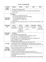 Giáo án chủ đề trường tiểu học