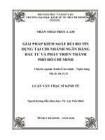 Giải pháp kiểm soát rủi ro tín dụng tại chi nhánh ngân hàng đầu tư và phát triển thành phố hồ chí minh , luận văn thạc sĩ 