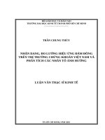Nhận dạng, đo lường hiệu ứng đám đông trên thị trường chứng khoán việt nam và phân tích các nhân tố ảnh hưởng 