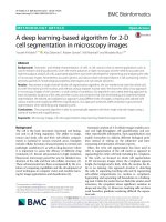 A deep learning-based algorithm for 2-D cell segmentation in microscopy images