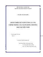 Hoàn thiện kế toán công cụ tài chính trong các ngân hàng thương mại tại việt nam , luận án tiến sĩ 