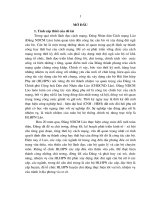 Xây dựng đội ngũ cán bộ hội liên hiệp phụ nữ huyện ở tỉnh xay nhạ bu ly nước cộng hoà dân chủ nhân dân lào giai đoạn hiện nay