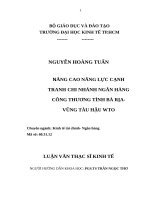Giải pháp nâng cao năng lực cạnh tranh ngân hàng công thương chi nhánh tỉnh bà rịa   vũng tàu hậu WTO , luận văn thạc sĩ 