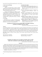 Nghiên cứu hiệu lực của phân lân bón cho cải bắp trên đất acrisols tại huyện Bắc Hà, tỉnh Lào Cai