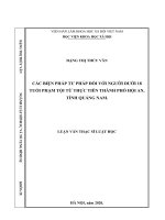 (Luận văn thạc sĩ) Các biện pháp tư pháp đối với người dưới 18 tuổi phạm tội từ thực tiễn thành phố Hội An, tỉnh Quảng Nam