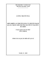 Điều khiển lan truyền xung và chuyển mạch quang trong môi trường nguyên tử hai mức suy biến tt 