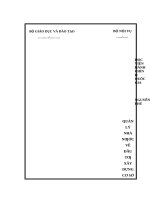 Quản lý nhà nước về đầu tư xây dựng cơ sở hạ tầng giao thông từ nguồn ngân sách nhà nước trên địa bàn huyện easúp, tỉnh đắk lắk 