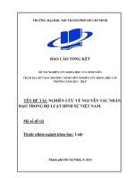 nghiên cứu về nguyên tắc nhân đạo trong bộ luật hình sự việt nam  