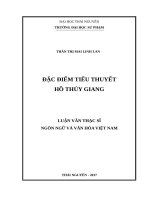 Đặc điểm tiểu thuyết hồ thủy giang 