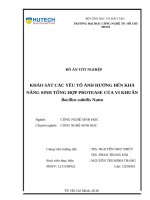 Khảo sát các yếu tố ảnh hưởng đến khả năng sinh tổng hợp protease của vi khuẩn bacillus subtilis natto​ 