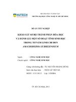 Khảo sát sơ bộ thành phần hóa học và đánh giá một số hoạt tính sinh học trong tơ nấm linh chi đen amauroderma subresinosum​ 