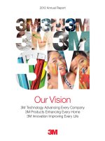 2fd90d5b4c0e04284e3e6dbcc61404af 3m annual report 2012