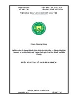 Nghiên cứu đa dạng thành phần loài cây tinh dầu và đánh giá giá trị của một số loài đại diện tại vườn quốc gia cát bà, thành phố hải phòng​ 