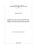 Nghiên cứu tạo cây ngô chuyển gen dreb2 7 liên quan đến tính chịu hạn​ 