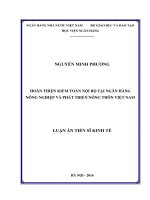 (Luận án tiến sĩ) Hoàn thiện kiểm toán nội bộ tại Ngân hàng Nông nghiệp và Phát triển nông thôn Việt Nam