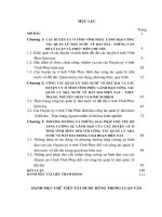 Các huyện uỷ ở tỉnh vĩnh phúc lãnh đạo công tác quản lý nhà nước về đất đai trong giai đoạn hiện nay-tiểu luận cao học